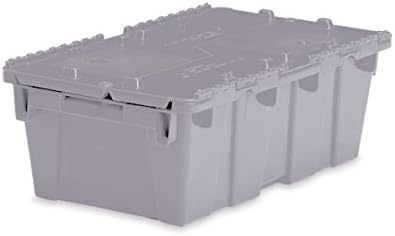 Medium Storage Tote with Lid 19.7 L x 11.8 W x 7.3 H - Gray