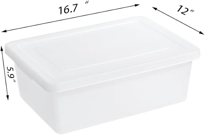 15 Quart Stackable Plastic Storage Bins with LidsContainer to Organize Shoes and Crafts on Closet ShelvesGarage Totes Tubs Boxes Organizing 2 Pack (N-2L)
