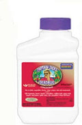 Captain Jack's Dead Bug Brew Concentrate Pint