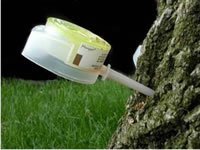 4ml Tree Injector Combination of Insecticide &amp Fungicide Containing Abamectin &amp Debacarb (Abacide Fungisol) 24 Cap Pack