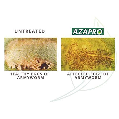 Azapro - Botanical Insecticide - Pest Management and Growth Control Concentrate for Organic Gardening (32 OZ)