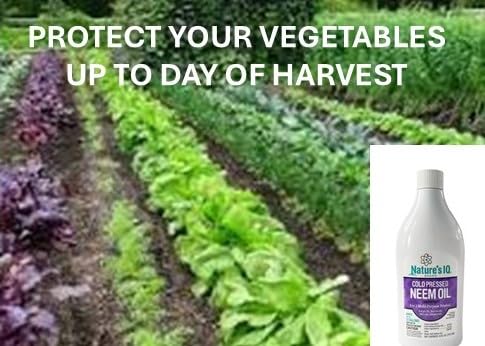 Nature's IQ Advanced Formula Neem Oil with Built in Mixing Agent. Concentrated neem Oil Spray for Plants. 4 in 1 Products. Controls Insects Mites Fungus and Nematodes. 4-16oz Bottles.