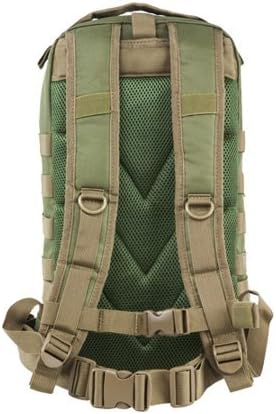 Small Backpack with Trim