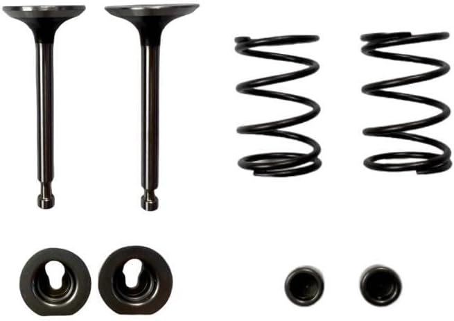 Intake Exhaust Valve and Spring and Retainer Kit for Predator 3500-Watt Super Quiet Inverter Generator