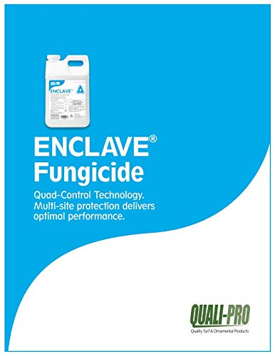 Enclave Flowable Fungicide