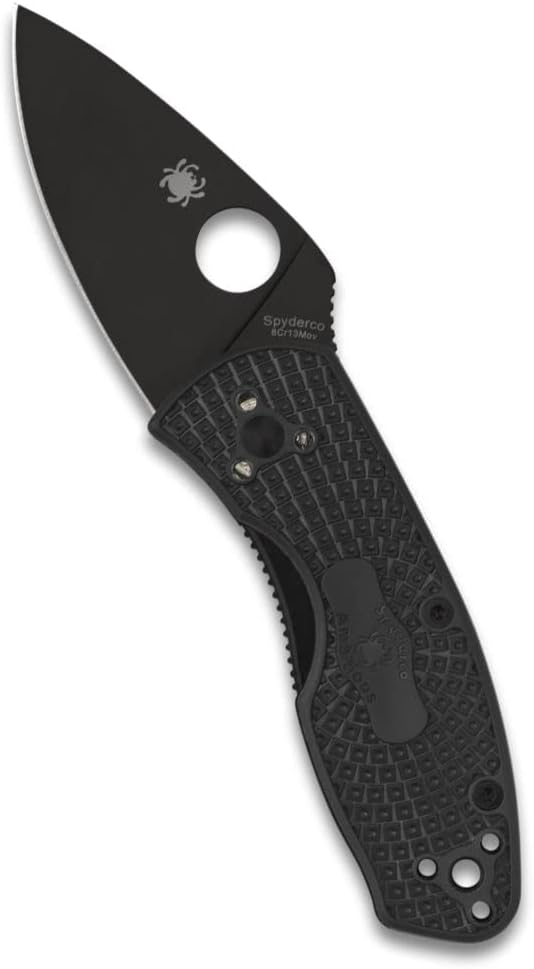 Spyderco Ambitious Lightweight Folding Pocket Knife with 2.31 Inch Stainless Steel Blade and FRN Handle - PlainEdge - C148PBBK