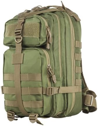Small Backpack with Trim