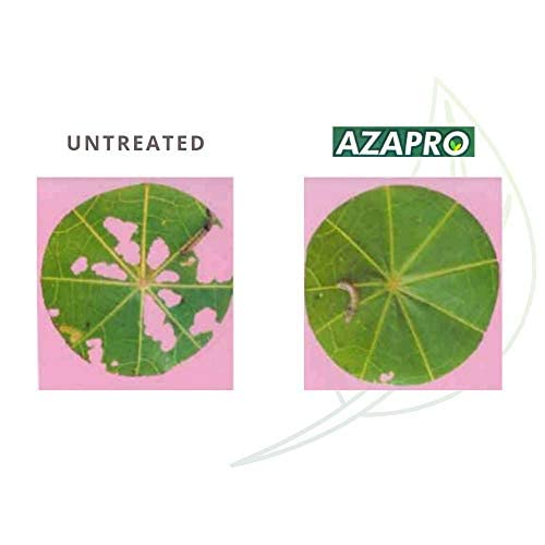 Azapro - Botanical Insecticide - Pest Management and Growth Control Concentrate for Organic Gardening (32 OZ)