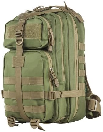 Small Backpack with Trim