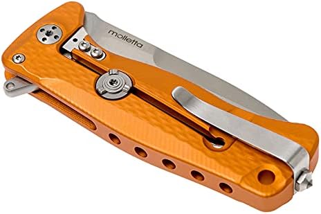 Lion Steel SR22A Sleipner Frame Lock Folding Pocket Knife - Machined Aluminum Handle IKBS Ball Bearing System Dual Carry Clip (Orange Handle Satin Blade) one Size