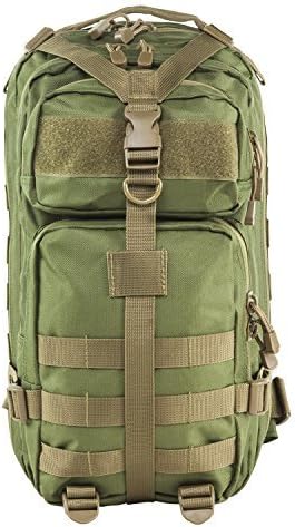 Small Backpack with Trim