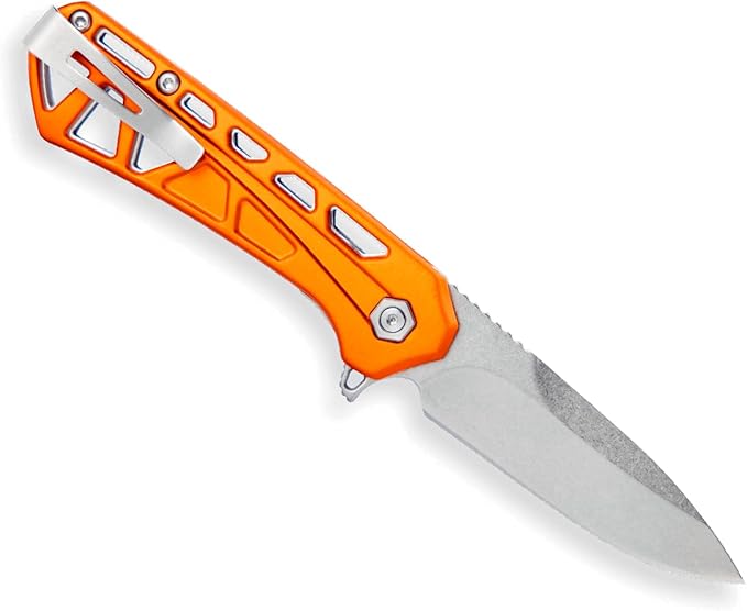 Buck Knives 814 Mini Trace Folding EDC Knife 2.43” Pocket Knife Blade Aluminum Handle 7Cr17MoV Steel Drop Point Folding Blade Orange 1.85 oz