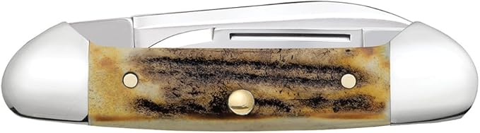 Case WR XX Pocket Knife Sambar Stag Baby Butterbean Item #5537 - (52132 SS) - Length Closed: 2 3/4 Inches