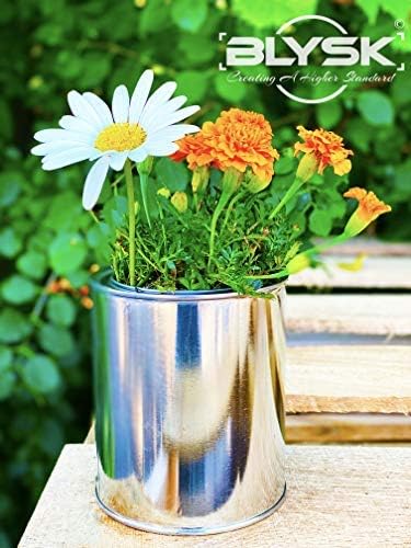 Empty Paint Cans with Lids – Quart/32 oz Unlined Containers for Paint Solvents Crafts &amp DIY Can opener Marker and Labels included 6 Pack
