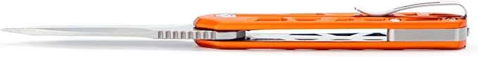 Buck Knives 814 Mini Trace Folding EDC Knife 2.43” Pocket Knife Blade Aluminum Handle 7Cr17MoV Steel Drop Point Folding Blade Orange 1.85 oz