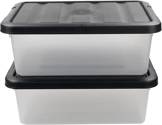 Teyyvn 14 L Clear Storage Box 2-Pack Plastic Storage Bin with Black Lid
