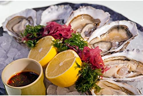 MasterClass Deluxe Oyster Knife Stainless Steel Plain and Bevelled Edges Silver 18cm