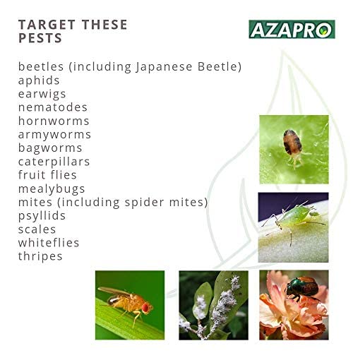 Azapro - Botanical Insecticide - Pest Management and Growth Control Concentrate for Organic Gardening (32 OZ)