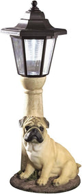 Bits and Pieces - Solar Dog Lantern-Solar Powered Garden Lantern - Resin Dog Sculpture with LED Light (Fawn Pug) - 13.5 Tall
