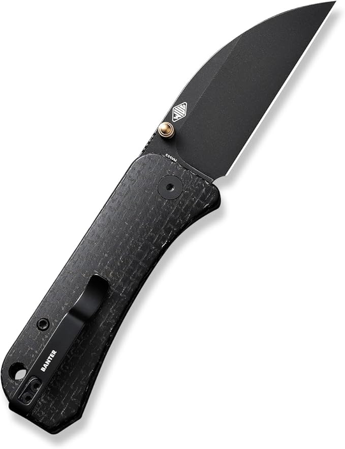 WeKnife Banter Wharncliffe Pocket Knife for EDC Ben Petersen Folding Knife with 2.85 CPM S35VN Steel Blade Burlap Micarta Handle Titanium Thumb Stud Opener WE19068J-1 (Black)