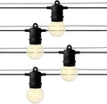 Holiday Bright Lights Belle Luci G40 String Lights 15-Bulb Set 15FT Bistro LED Bulbs Warm White with 12-Inch Spacing for Outdoor Patio