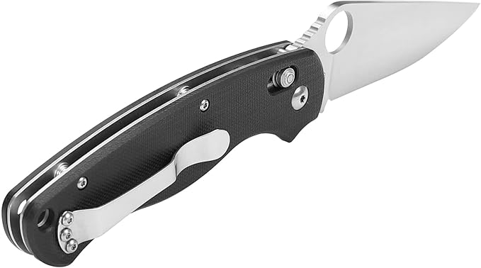 Ganzo G729-BK Folding Pocket Knife 440C Stainless Steel Blade Ergonomic G10 Non-Slip Handle with Clip Hunting Fishing Camping Folder Axis Lock Outdoor EDC Knife (Black)