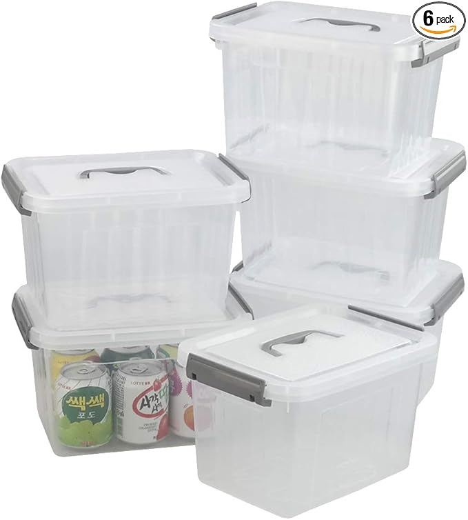 6 Liter Plastic Bins with Lids Clear Storage Boxes Set of 6