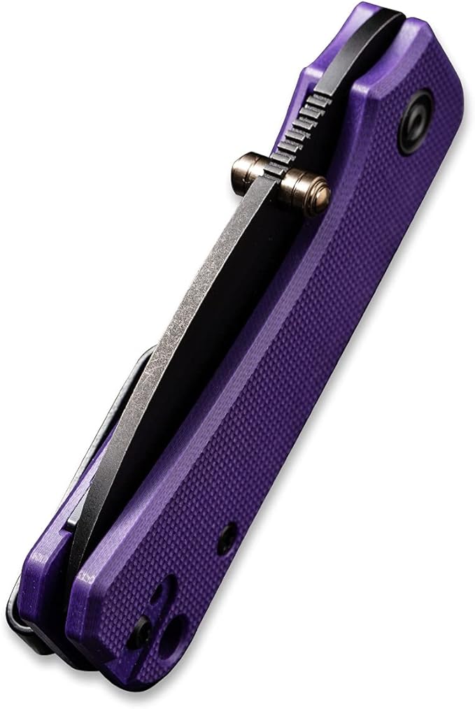 CIVIVI Baby Banter Pocket Folding Knife for EDC 2.34 Blade Small Knife with Titanium Thumb Stud Opener (Purple)