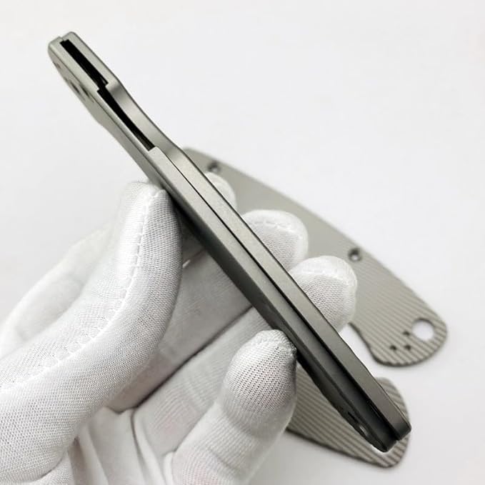 1 Pair Titanium Scales Replacement with Honeycomb Pattern Fits for C81 Paramilitary 2