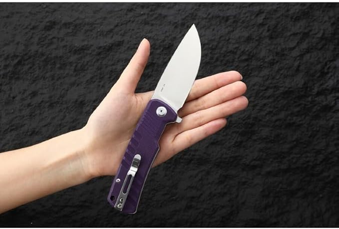 Firebird Ganzo G769-PL EDC Folding Pocket Knife Razor Sharp D2 Stainless Steel Blade G10 Handle with Clip Outdoor Pocket Knife Hunting Fishing Hiking Folder Best Gift for Men (Purple)
