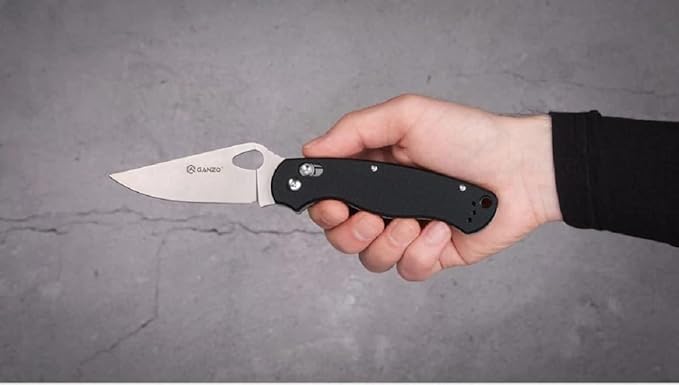 Ganzo G729-BK Folding Pocket Knife 440C Stainless Steel Blade Ergonomic G10 Non-Slip Handle with Clip Hunting Fishing Camping Folder Axis Lock Outdoor EDC Knife (Black)