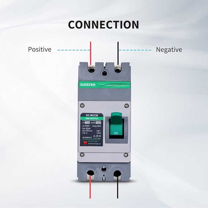 Renogy Suntree 160 Amp 2-Pole DC Circuit Breaker for Off-Grid Solar System Molded Case