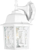 Nuvo 60/3484 One Light Outdoor Wall Mount White