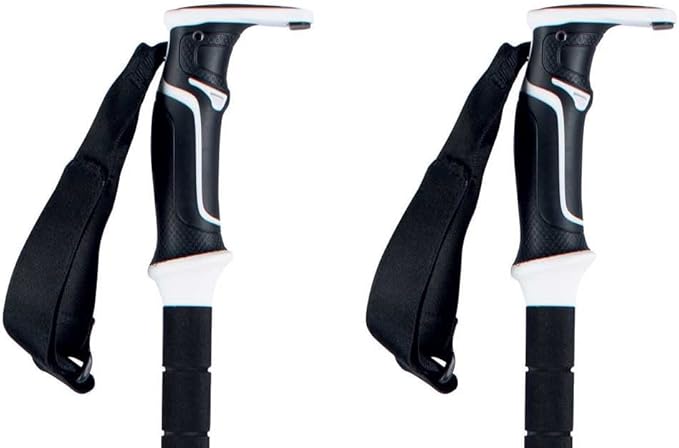 Backcountry Access Scepter Adjustable Carbon Aluminium Color: Black (C2005006010)