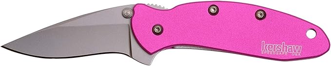 Kershaw Chive Pink Pocket Knife 1.9 420HC Steel Blade 410 Stainless Steel Handle Assisted Opening with Flipper Small EDC