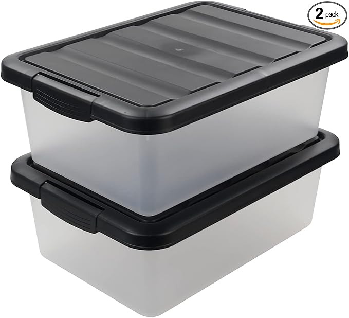 Teyyvn 14 L Clear Storage Box 2-Pack Plastic Storage Bin with Black Lid