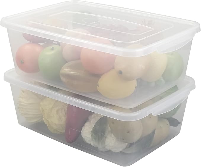 16 Quart Clear Storage Bins Plastic Tubs with Lids for Storage 2-Pack