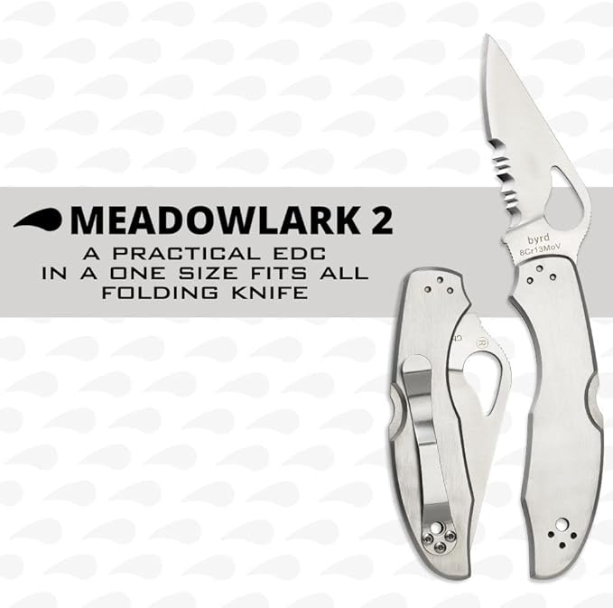 Spyderco Byrd Meadowlark 2 Knife with 2.90 Steel Blade and Durable Stainless Steel Handle - CombinationEdge - BY04PS2
