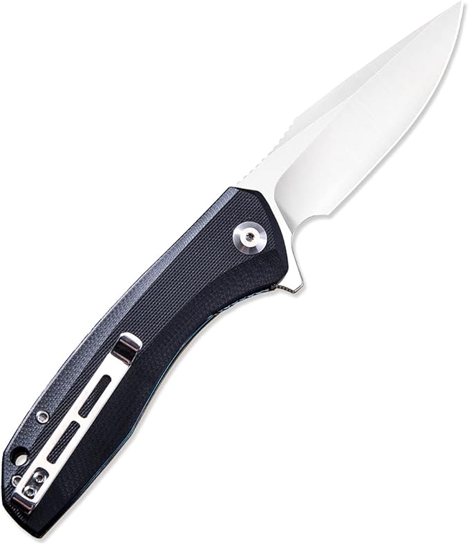 CIVIVI Liner Lock Folding Knife Baklash 3.5 Satin Blade G10 Handles Reversible Pocket Clip C801C (Black)