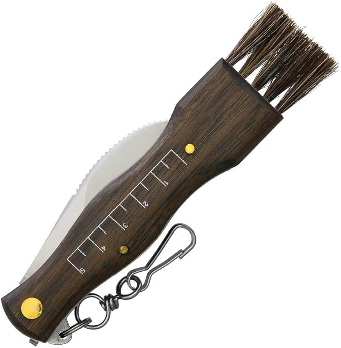 Maserin Mushroom Knife with Wood Handle 5.5 Inch Closed Stainless Hawkbill Blade Bristle Brush and Tweezers