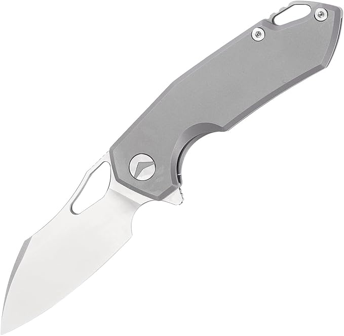Folding Pocket Knife With Clip - M390 Steel Titanium Handle for EDC Camping Hiking Survival Hunting - Sheath Included Gifts for Men (Grey)