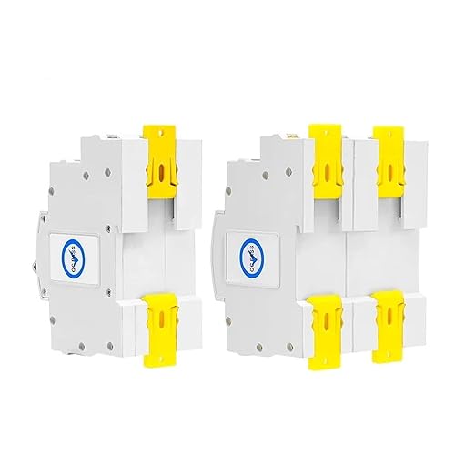 Smart Rail Dual Power Automatic Transfer Switch with Voltage Protection 2P 4P 63A 220V Uninterrupted Power(G2R 2P 63A 220V)