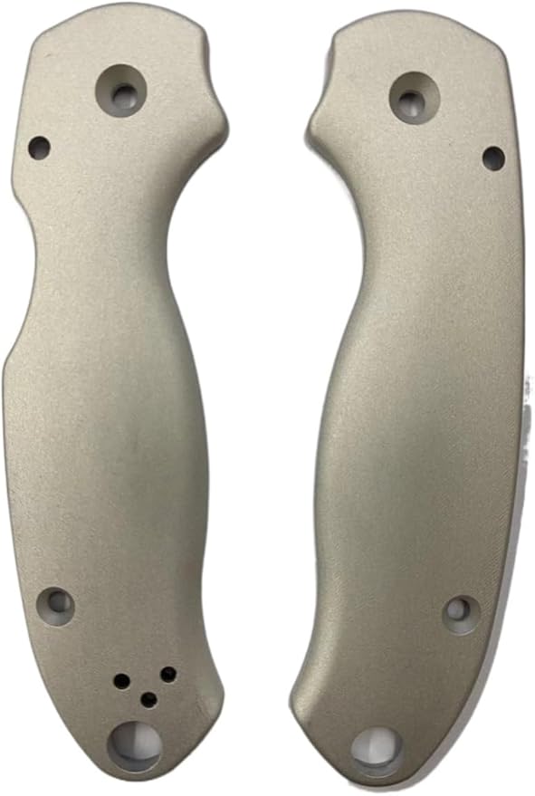 1 Pair Aluminum Scales Fits for Para 3 C223 Custom CNC Handle Patch DIY Replacement Accessory(Silver)