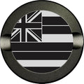 Buzz &amp Heaters Metal Container for Zyn | Metal Holder for Zyn | Metal Can for Zyn | Metal Container for Zyn Holder | Metal Pouch Cans for Zyn | USA State Flags | American Flags | Hawaii