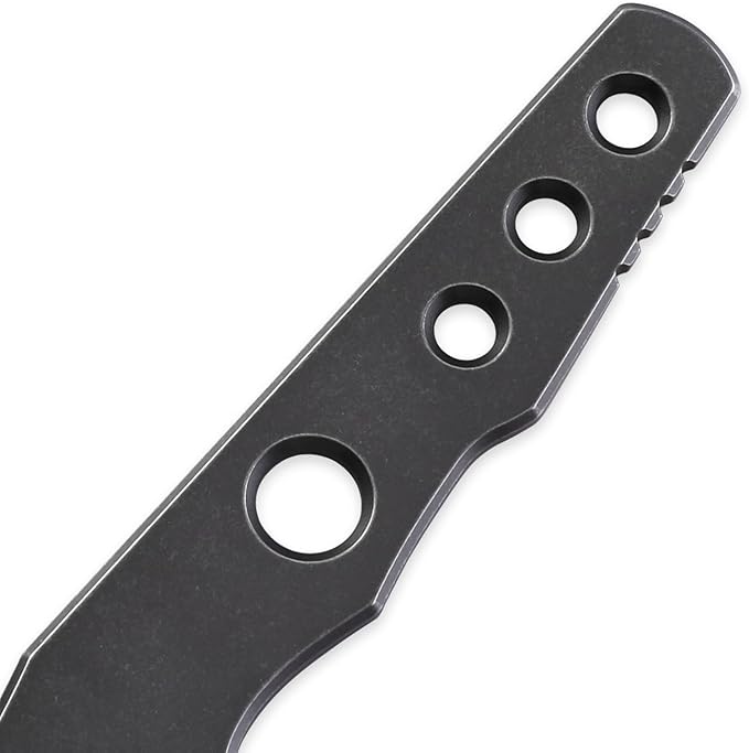 Petrified fish PFE13 Bison Fixed Blade Knife 2.4 14C28N Stonewashed Blade 2.52oz 14C28N Handle Fixed Blade Knife for Camping EDC Outdoor (Gray Stonewashed)