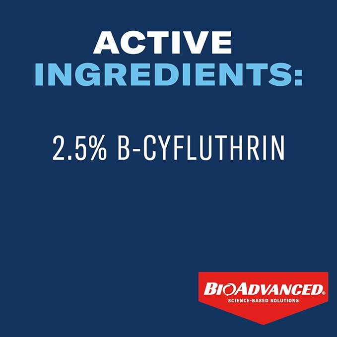 BioAdvanced Carpenter Ant &amp Termite Killer Plus Concentrate 1 Gal