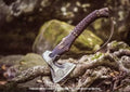 | Viking AxeHatchetThrowing AxesHand AxeGifts for himWood Working ToolViking Gifts for MenCamping HatchetTomahawkBearded Axe