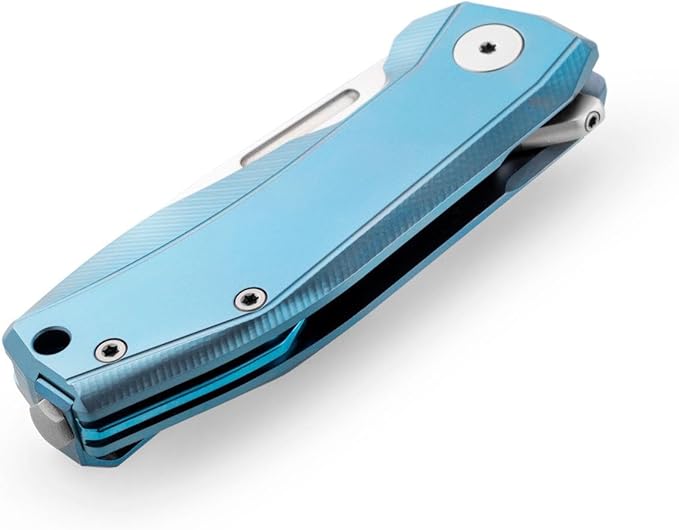 LionSTEEL NANO Titanium Frame Lock Folding Pocket Knife Magnacut Steel Blade Solid Handle Construction Drop Point Made in Italy (Blue Titanium)
