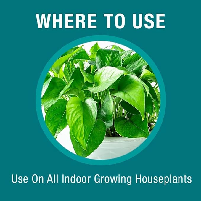 Baby Bio Houseplant Food Concentrate 5.9 Oz (3-Pack) with BioAdvanced Organics Brand Houseplant Insect Killer Ready-to-Use 24 oz
