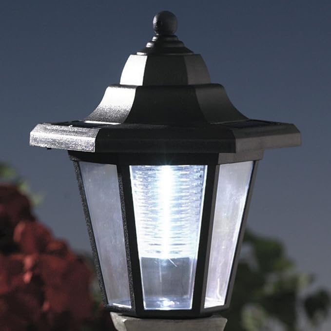 Bits and Pieces - Solar Dog Lantern-Solar Powered Garden Lantern - Resin Dog Sculpture with LED Light (Bichon) - 13.5 Tall